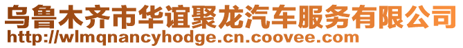 乌鲁木齐市华谊聚龙汽车服务有限公司