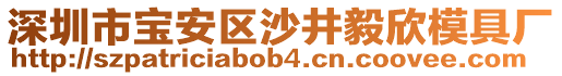 深圳市寶安區(qū)沙井毅欣模具廠