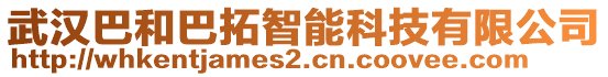 武漢巴和巴拓智能科技有限公司