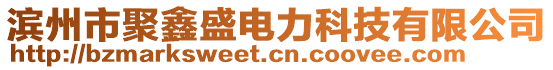 滨州市聚鑫盛电力科技有限公司