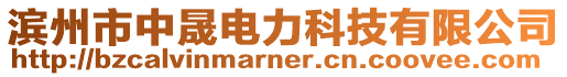 滨州市中晟电力科技有限公司