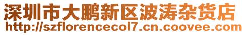 深圳市大鹏新区波涛杂货店