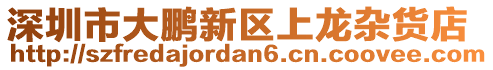 深圳市大鵬新區(qū)上龍雜貨店