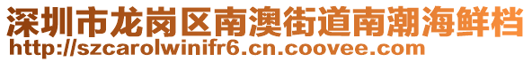 深圳市龍崗區(qū)南澳街道南潮海鮮檔