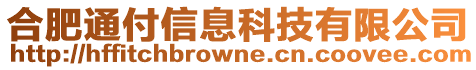 合肥通付信息科技有限公司