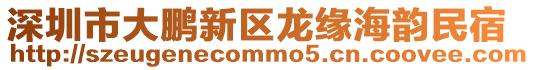 深圳市大鵬新區(qū)龍緣海韻民宿