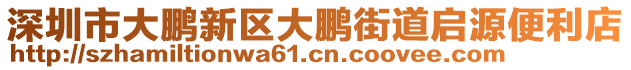 深圳市大鵬新區(qū)大鵬街道啟源便利店