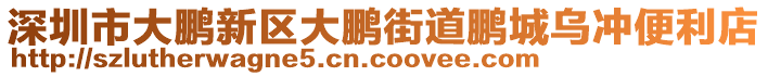 深圳市大鵬新區(qū)大鵬街道鵬城烏沖便利店