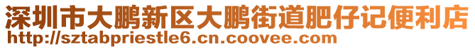 深圳市大鹏新区大鹏街道肥仔记便利店