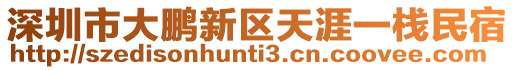 深圳市大鵬新區(qū)天涯一棧民宿