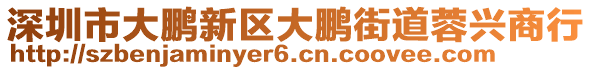 深圳市大鵬新區(qū)大鵬街道蓉興商行