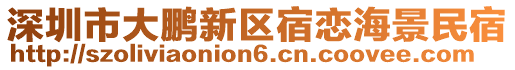 深圳市大鵬新區(qū)宿戀海景民宿