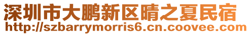 深圳市大鵬新區(qū)晴之夏民宿