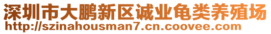 深圳市大鵬新區(qū)誠業(yè)龜類養(yǎng)殖場