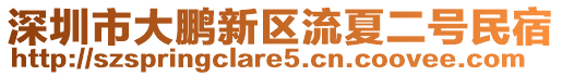 深圳市大鵬新區(qū)流夏二號民宿