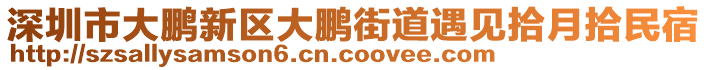 深圳市大鵬新區(qū)大鵬街道遇見拾月拾民宿