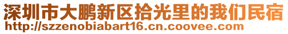 深圳市大鵬新區(qū)拾光里的我們民宿