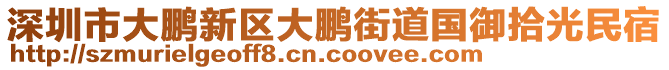 深圳市大鵬新區(qū)大鵬街道國(guó)御拾光民宿