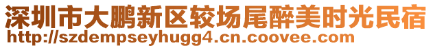 深圳市大鵬新區(qū)較場尾醉美時光民宿