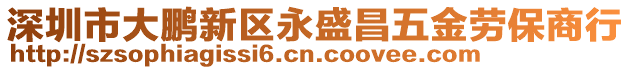 深圳市大鵬新區(qū)永盛昌五金勞保商行