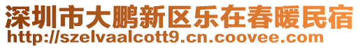 深圳市大鵬新區(qū)樂(lè)在春暖民宿