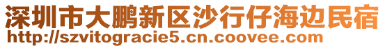 深圳市大鹏新区沙行仔海边民宿