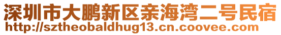 深圳市大鹏新区亲海湾二号民宿