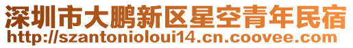 深圳市大鵬新區(qū)星空青年民宿