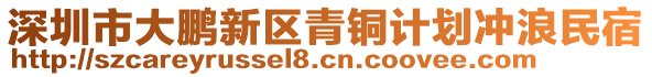 深圳市大鵬新區(qū)青銅計(jì)劃沖浪民宿