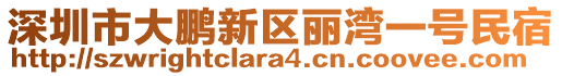 深圳市大鵬新區(qū)麗灣一號(hào)民宿