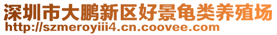 深圳市大鵬新區(qū)好景龜類養(yǎng)殖場