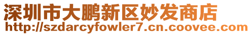 深圳市大鵬新區(qū)妙發(fā)商店