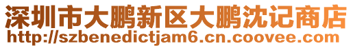 深圳市大鵬新區(qū)大鵬沈記商店