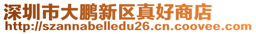 深圳市大鵬新區(qū)真好商店