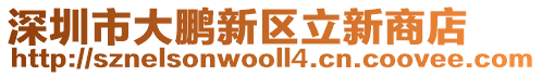 深圳市大鵬新區(qū)立新商店