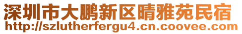 深圳市大鵬新區(qū)晴雅苑民宿