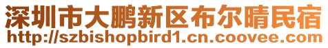 深圳市大鵬新區(qū)布爾晴民宿