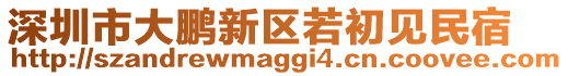 深圳市大鵬新區(qū)若初見民宿