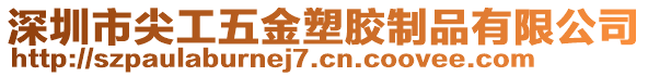 深圳市尖工五金塑膠制品有限公司