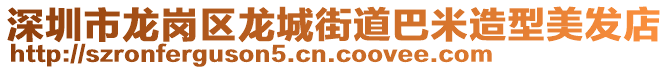 深圳市龍崗區(qū)龍城街道巴米造型美發(fā)店