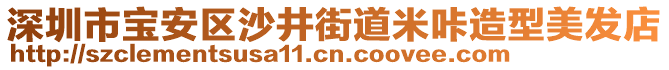 深圳市寶安區(qū)沙井街道米咔造型美發(fā)店