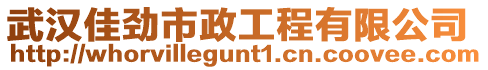 武漢佳勁市政工程有限公司