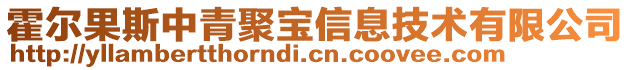 霍爾果斯中青聚寶信息技術(shù)有限公司