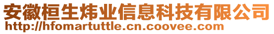 安徽桓生煒業(yè)信息科技有限公司