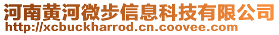 河南黃河微步信息科技有限公司