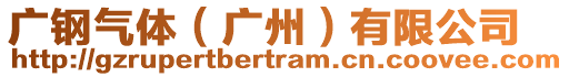 广钢气体（广州）有限公司