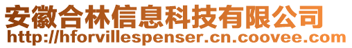 安徽合林信息科技有限公司