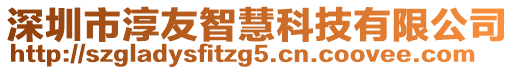 深圳市淳友智慧科技有限公司