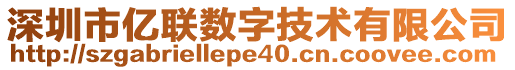 深圳市億聯(lián)數(shù)字技術有限公司