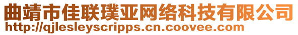 曲靖市佳聯(lián)璞亞網(wǎng)絡(luò)科技有限公司